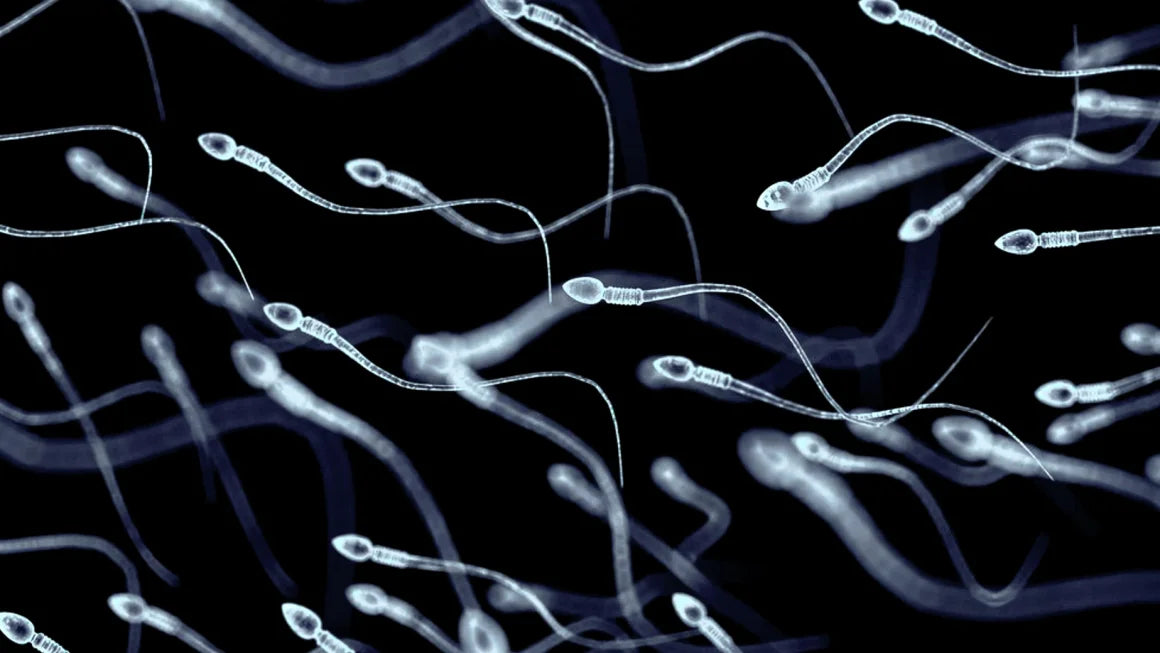 What your semen says about your health