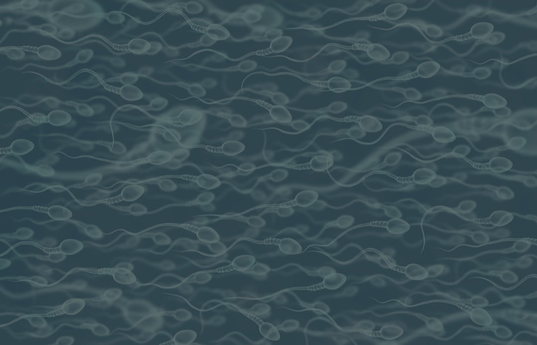 How Long Does It Take for Supplements to Improve Sperm Quality? The 74-Day Truth