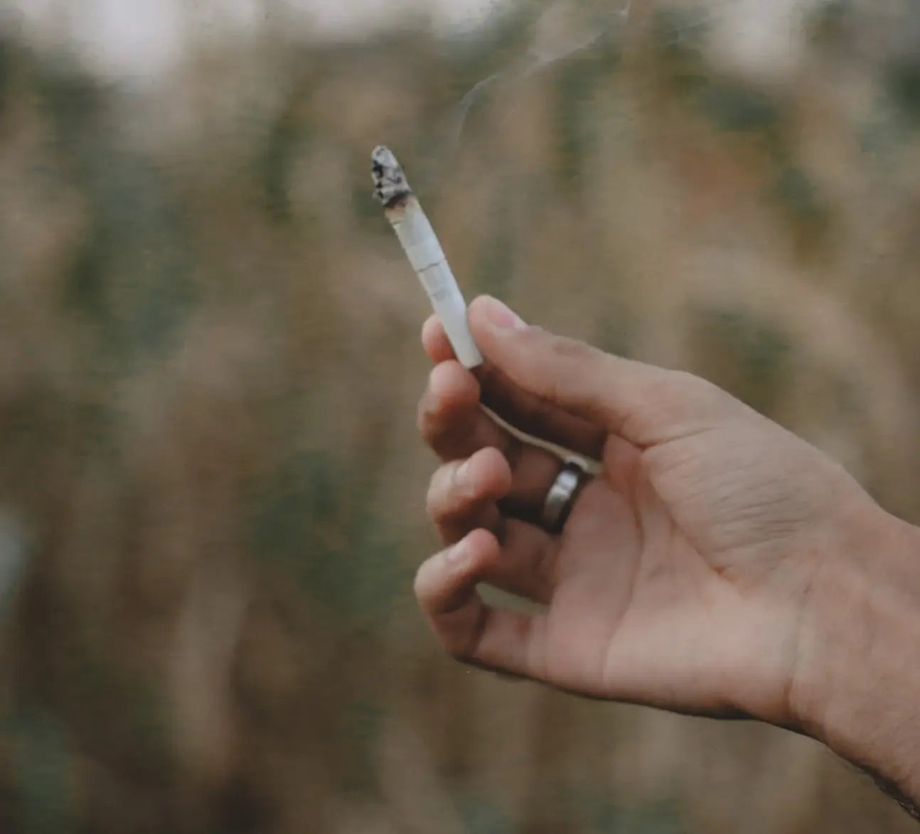 Impact of Cigarette Smoking on Sperm Parameters