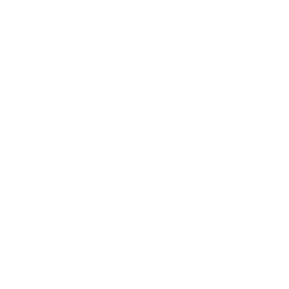 LEV+LIV